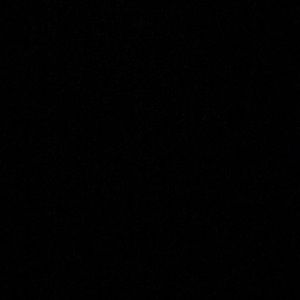 Meet your Posher, Darius